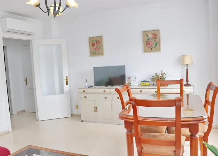 Cybion Conil De La Frontera