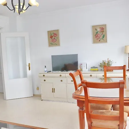 Cybion קוניל דה לה פרונטרה